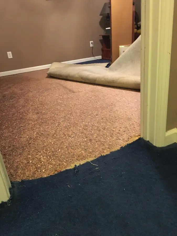 Carpet pad removal revealing water damage during Water Mitigation Services in Uniontown